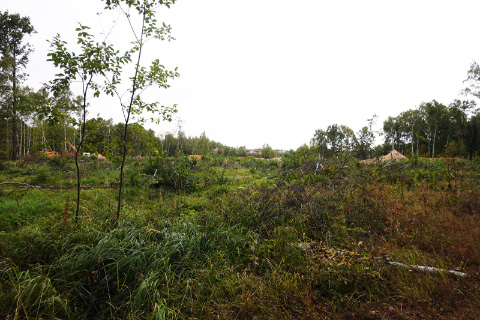 Вырубка леса на востоке от Киовогорского поля видны дачи на поле