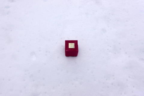 Фото 07  Гайдн 4 коробка с Гайдном на снегу на прле Появления Либлиха