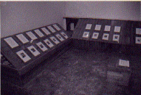 21 Fingers at Spider and Mouse Gallery, 1999