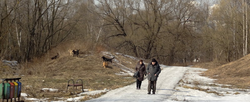 КОЛЛЕККТИВНЫЕ ДЕЙСТВИЯ. АКЦИЯ 145 ПОДХОДЯЩАЯ