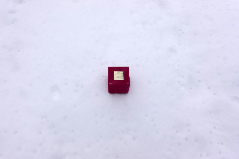 Фото 07  Гайдн 4 коробка с Гайдном на снегу на прле Появления Либлиха