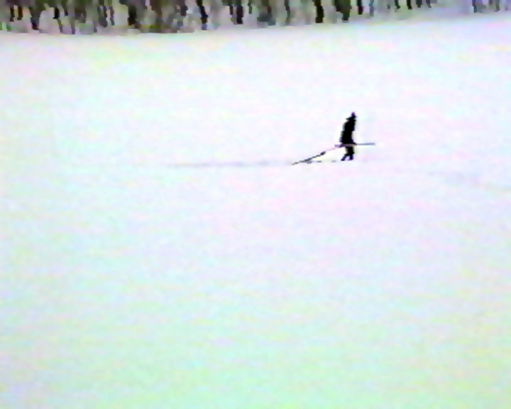 Русский Мир. Фото акции КД romashkotassit-6.jpg