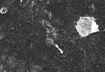 Вид из космоса на место проведения акции “Rope”