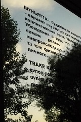 321570_10150360680323291_548753290_7985402_340515897_n-Elena-Kusovac. width=