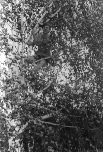 Сергей Загний. На дереве. 1986