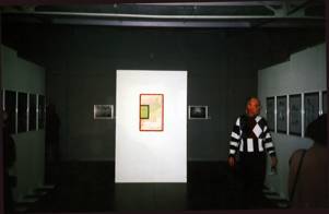 Andrei Monastyrski. MOSQUITOS 2, Installation